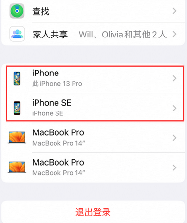 青秀苹青秀果维修网点分享iPhone如何查询序列号