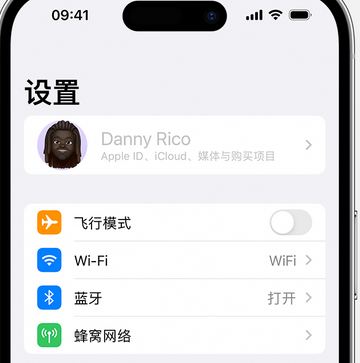 青秀appleID维修服务iPhone设置中Apple ID显示为灰色无法使用