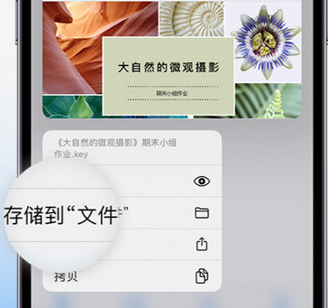 青秀apple维修中心分享iPhone文件应用中存储和找到下载文件