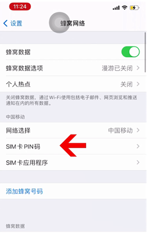 青秀苹果14维修网分享如何给iPhone14的SIM卡设置密码 