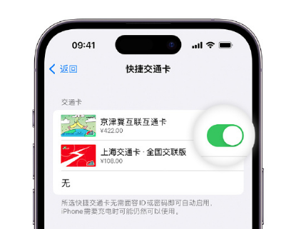 青秀apple维修点分享iPhone上更换Apple Pay快捷交通卡手绘卡面 