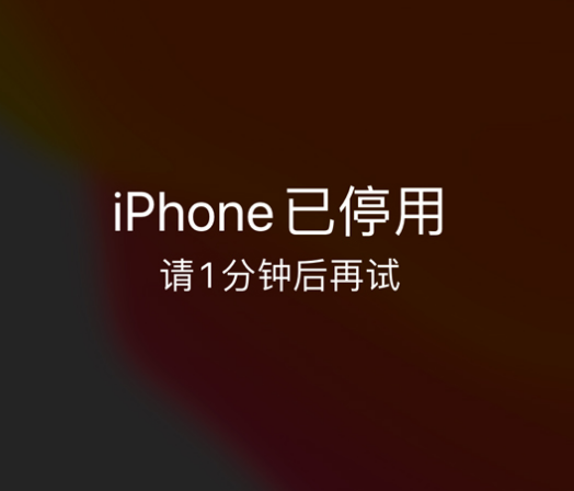 青秀苹果手机维修分享:iPhone 显示“不可用”或“已停用”怎么办？还能保留数据吗？ 