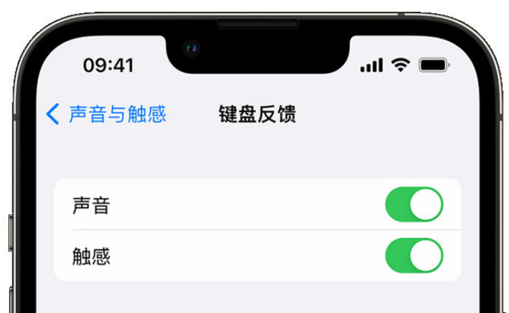 青秀苹果手机维修分享iPhone 14触感键盘使用方法 