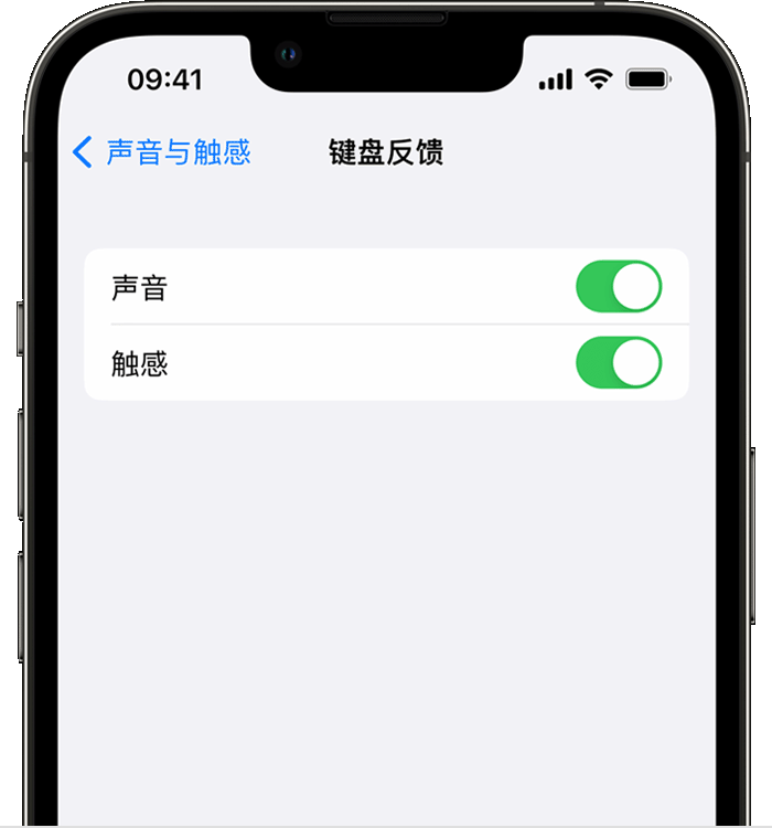 青秀苹果14维修店分享如何在 iPhone 14 机型中使用触感键盘 