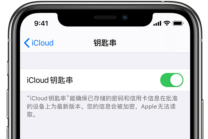 青秀苹果手机维修分享在 iPhone 上开启 iCloud 钥匙串之后会储存哪些信息 