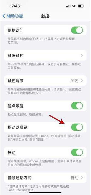 青秀苹果手机维修分享iPhone手机如何设置摇一摇删除文字 